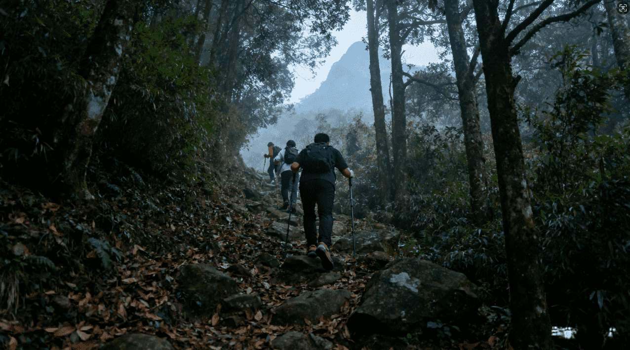 如何选择免费游戏加速器VPN，提升游戏稳定性